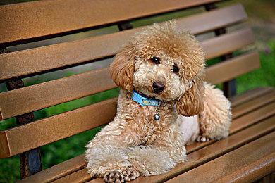 Fami通新一周销量榜 《任天堂Switch运动》四连冠